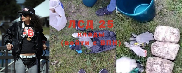 прущие крисы Арсеньев