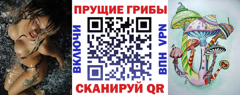 даркнет сайт  Миллерово  Галлюциногенные грибы Magic Shrooms 
